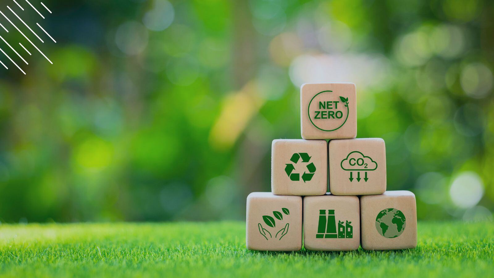 Achieving sustainability goals with Device Lifecycle Management